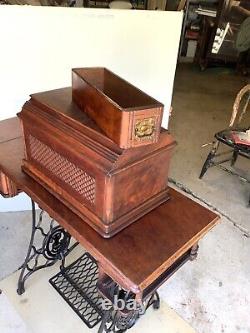 1894 Singer Model 27 Treadle Sewing Machine with Sphnix Motif and CoffinTop