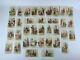 36 Antique Victorian Singer Sewing Machine Trade Cards All Nations Series